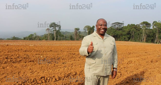 Graine : Ali Bongo promet un salaire de 100.000 FCFA aux agriculteurs dès février