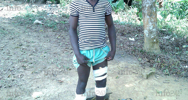 Une panthère noire attaque un ouvrier près de Koula-Moutou