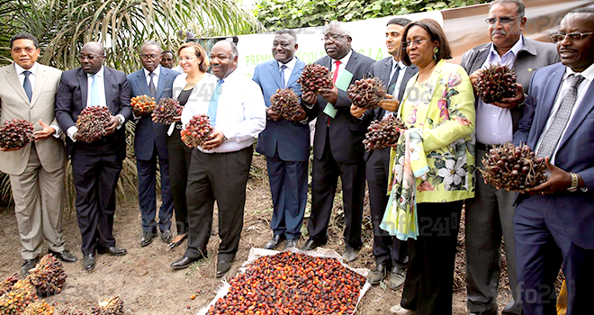 Olam et les ambitions du Gabon dans la filière agricole de l’huile de palme
