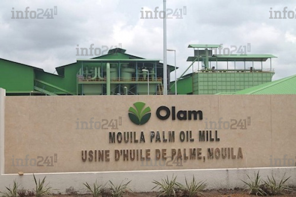 Olam Palm Gabon accusée de polluer les sols de plusieurs villages de la Ngounié