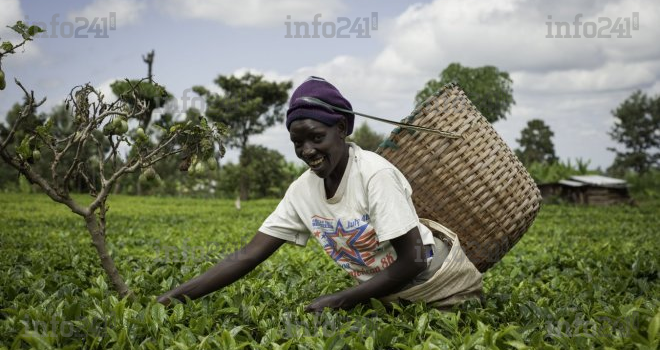 Cameroun : le FIDA fait un don de 602 millions de FCFA pour le développement agricole