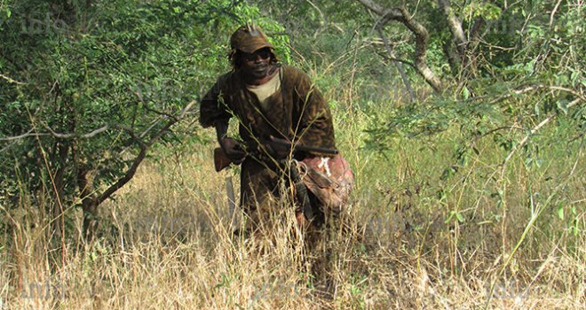 Une quinquagénaire prise pour un singe abattue par un chasseur à Ndjolé