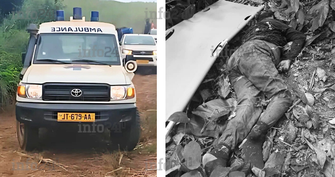 Gabon : Une mère de famille de 58 ans préférant la foi à la fuite, tuée par un troupeau d’éléphants