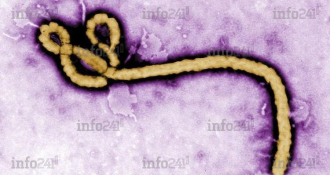 Etats-Unis : un sérum secret contre le virus Ebola