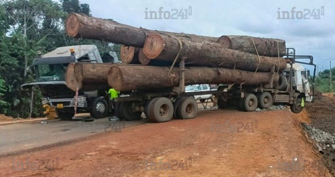 Okolassi : Un blessé grave après la collision d’un camion avec un grumier