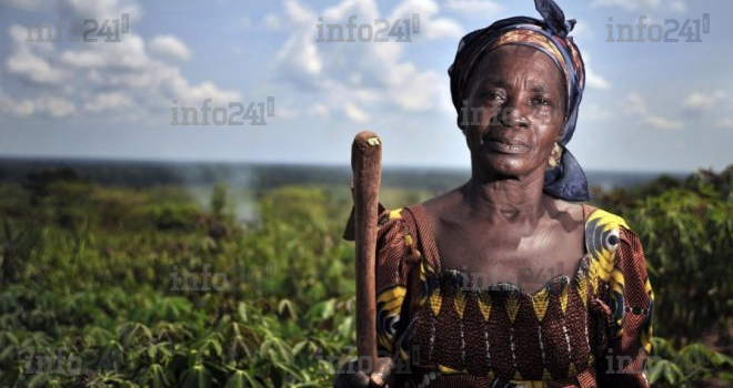 L’Afrique invitée à recourir aux cultures traditionnelles pour combattre les changements climatiques