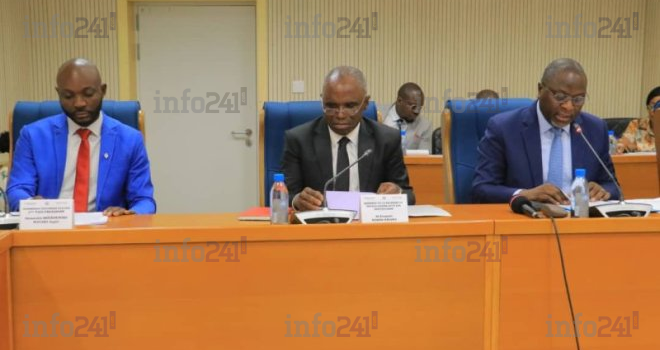 Assemblée nationale : Ndong Obiang vend la réforme du CESEC et une loi d’habilitation d’Oligui