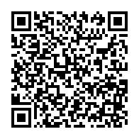 qrcode:http://info241.com/vie-chere-au-gabon-le-pain-une-denree-rare-a-libreville-depuis,6607