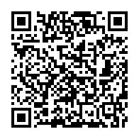 qrcode:http://info241.com/guinee-presidentielle-l-opposant-cellou-dalein-diallo-se-declare,521
