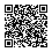 qrcode:http://info241.com/referendum-constitutionnel-au-gabon-la-campagne-electorale,9562