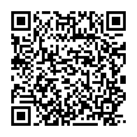 qrcode:http://info241.com/deraillement-d-un-train-mineralier-setrag-sur-le-pied-de-guerre,8921