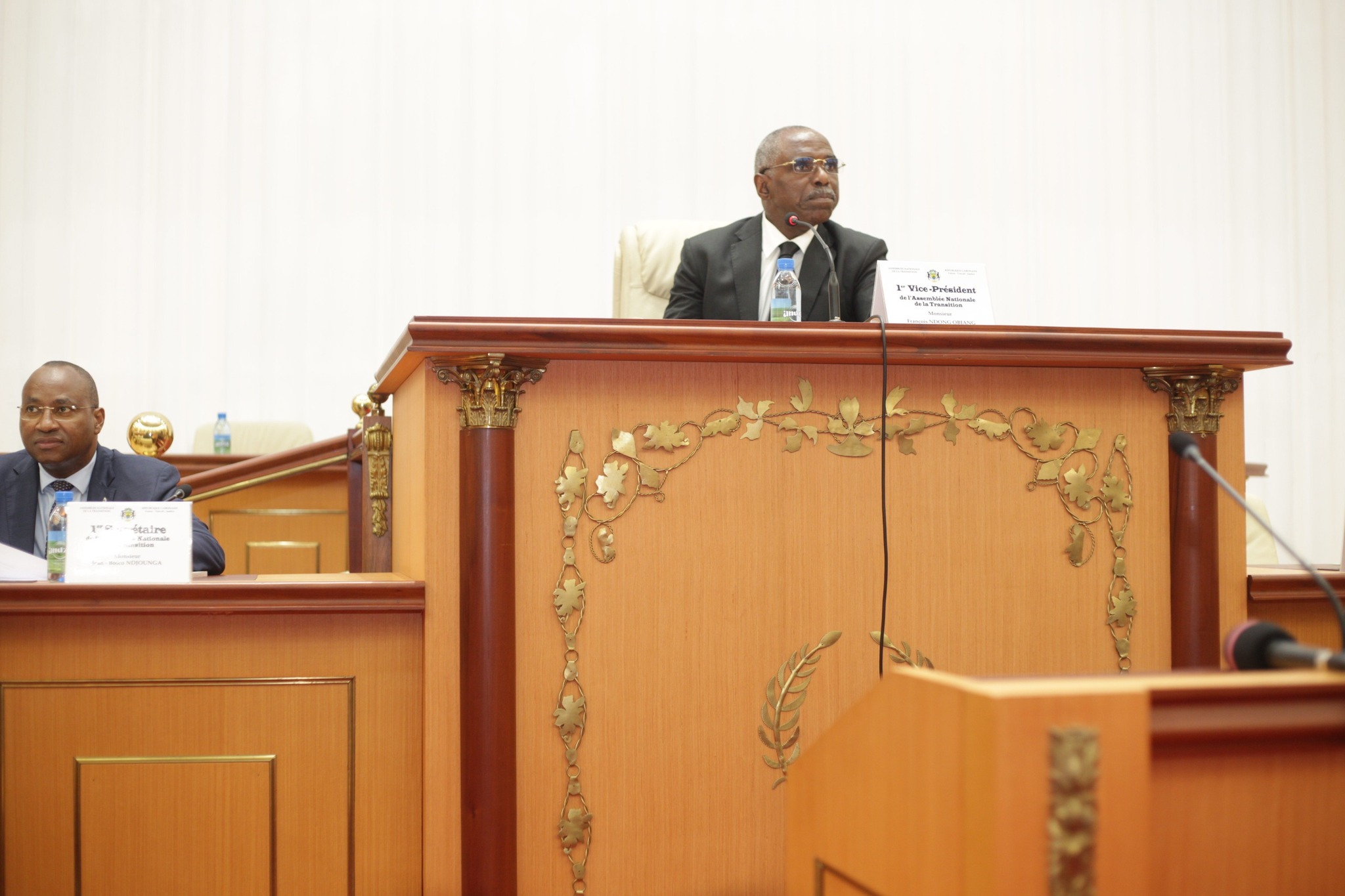François Ndong Obiang, trublion de la transition fait son entrée fracassante au gouvernement