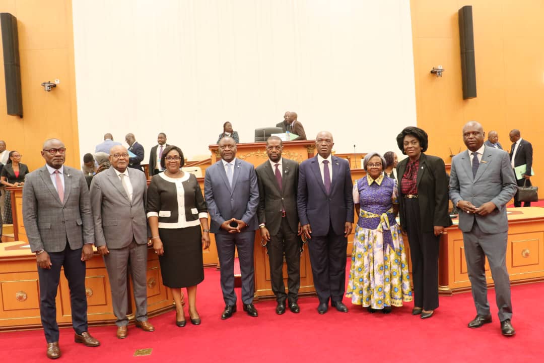 Gabon : L'UDB s'adjuge la majorité des commissions de l'Assemblée nationale, le PDG se maintient