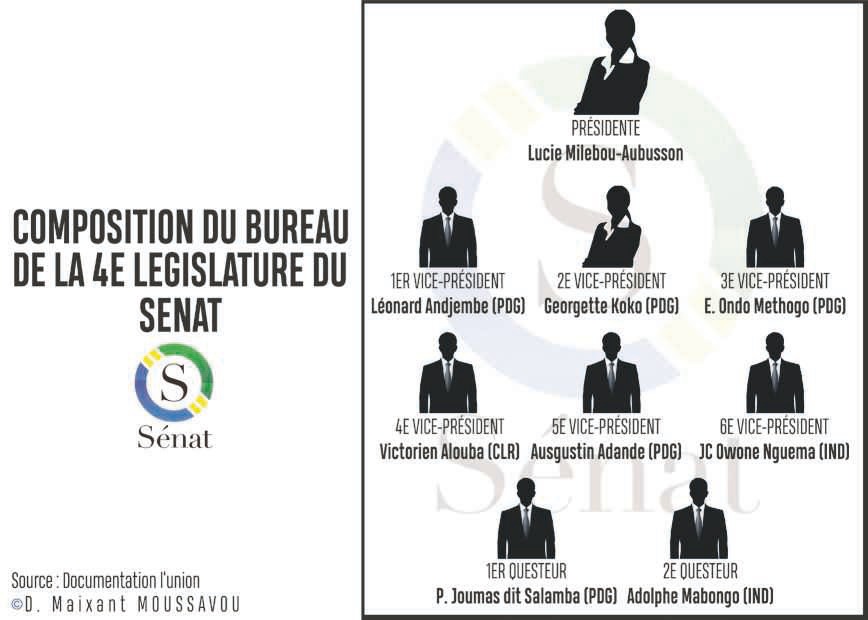 5e législature : les sénateurs gabonais ont validé leur propre saut dans l'inconnu !