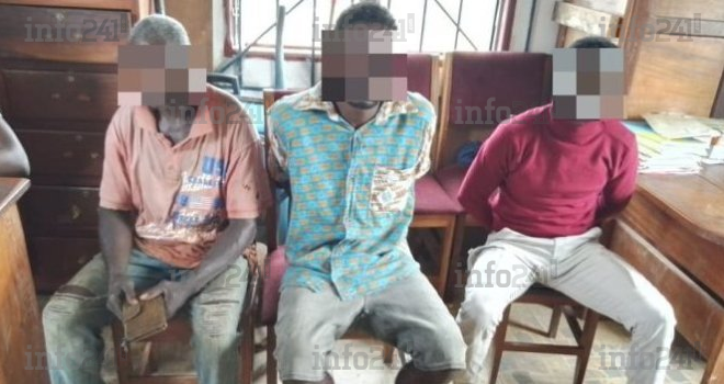 Trois trafiquants d’ivoire dans les mailles de la police judiciaire de Mouila