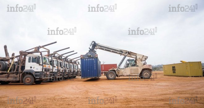 Le Gabon va vendre pour 45 milliards le bois du scandale du Kevazingogate