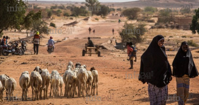 Niger : plus de 10 000 personnes ont fui les violences dans la zone des « trois frontières »