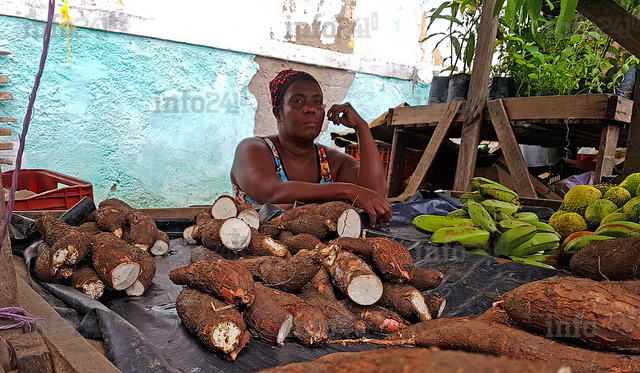 Le bâton de manioc très prisé des gabonais, se raréfie des étals des marchés !
