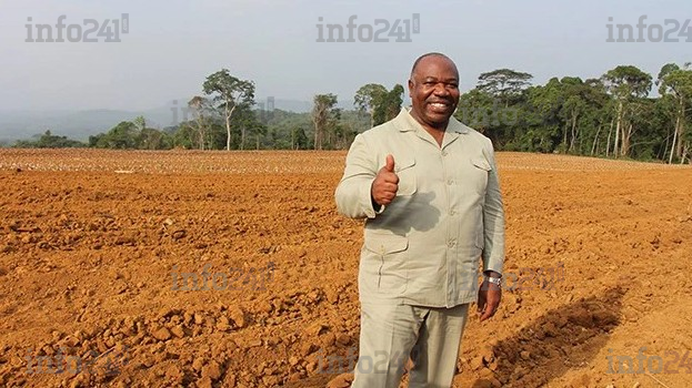En attente des résultats du projet Graine, le gouvernement gabonais lance l’éducation agricole 