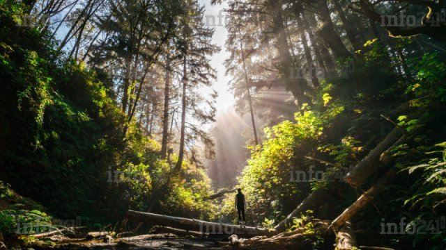 Makouké : Une mamie de 81 ans secourue après s’être égarée durant plusieurs heures en forêt 