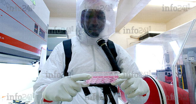 Le Gabon se mure pour se prémunir de la propagation du virus Ebola