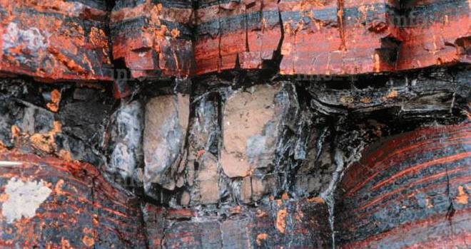 Ferrex s’active sur le fer du Gabon