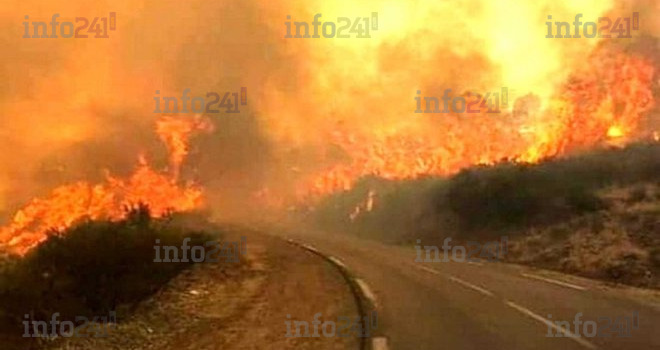 Incendies criminels en Algérie : le bilan provisoire passe à 42 morts