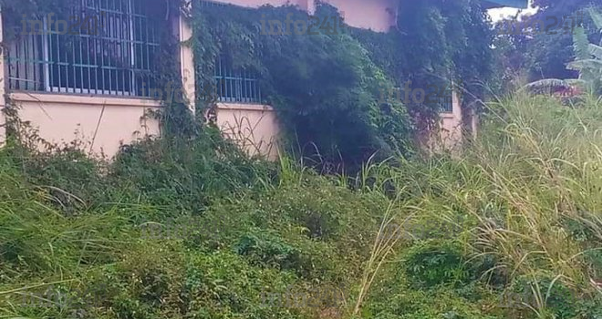 Université Omar Bongo, de temple du savoir à celui des hautes herbes !