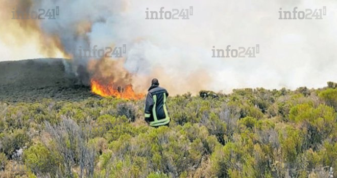 Tanzanie : le Kilimandjaro, le plus haut sommet d’Afrique victime d’un incendie