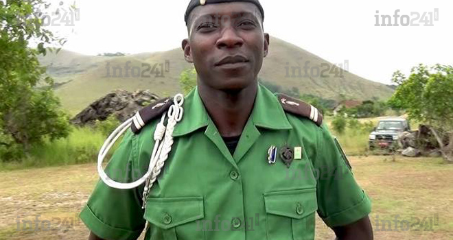 Un gendarme gabonais trouve la mort en tentant d’abattre un arbre à Ndindi