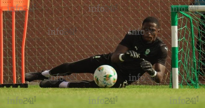 Panthères du Gabon&nbsp;: Après la défaite face au Niger, les internautes réclament des ajustements&nbsp;!