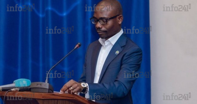 Législatives et locales 2025 : Quels sont les candidats investis par l’UDB d’Oligui Nguema ?