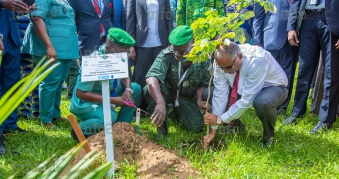 Côte d’Ivoire : le pays a replanté 38 millions d’arbres pour la reconstitution de son couvert forestier