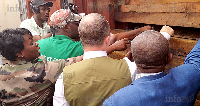 Kevazingogate : l’Etat gabonais va vendre à son profit pour plusieurs milliards le bois saisis !