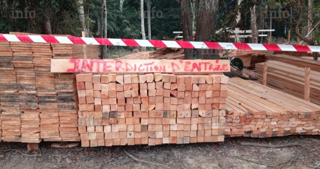 Lambaréné&nbsp;: Un élu local au cœur d’un scandale d’exploitation forestière illégale avec sa famille
