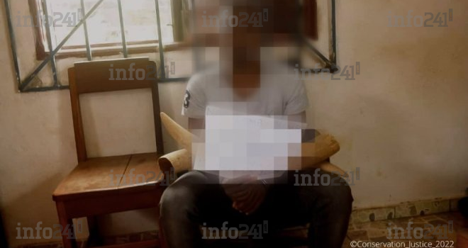 Fougamou : Un jeune pécheur gabonais pris en flagrant délit avec 12 pointes d’ivoire