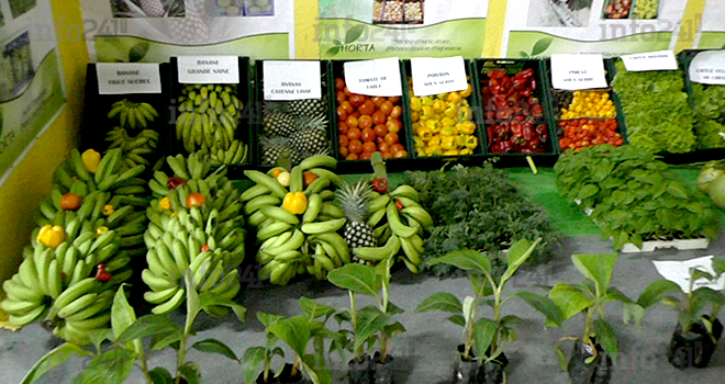 Agriculture : Libreville accueille depuis ce matin sa seconde foire agricole