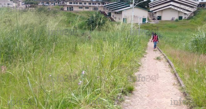 L’université Omar Bongo et ses hautes fines herbes