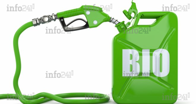 Le Gabon envisage développer une filiale en biocarburant pour amorcer l’après pétrole
