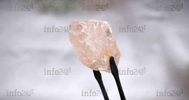 Angola : « La rose de Lulo », un diamant rose de 170 carats découvert dans une mine