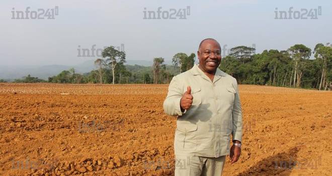 Projet &#171;&nbsp;GRAINE&nbsp;&#187; au Gabon&nbsp;: cet autre scandale financier, écologique et humain  d&#8217;Ali Bongo