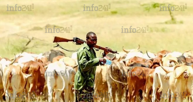 Nigéria : 25 morts dans des affrontements entre éleveurs et agriculteurs