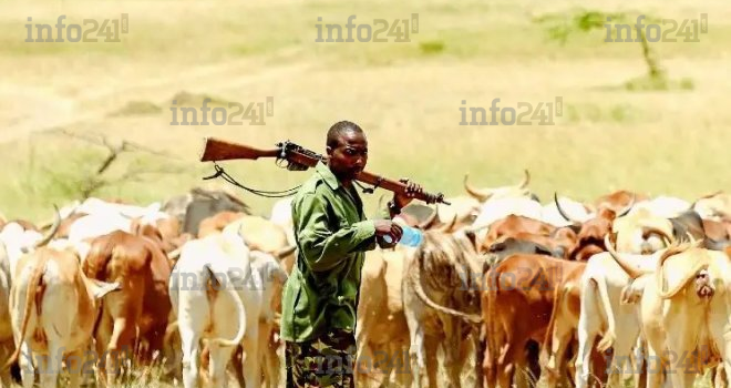 Nigéria : 25 morts dans des affrontements entre éleveurs et agriculteurs