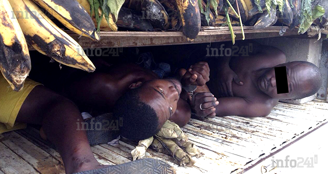 Gabon : des immigrants clandestins cachés sous des régimes de bananes