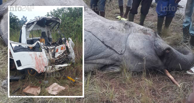 Guidouma : Deux morts dans une grave collision d’un véhicule avec un pachyderme