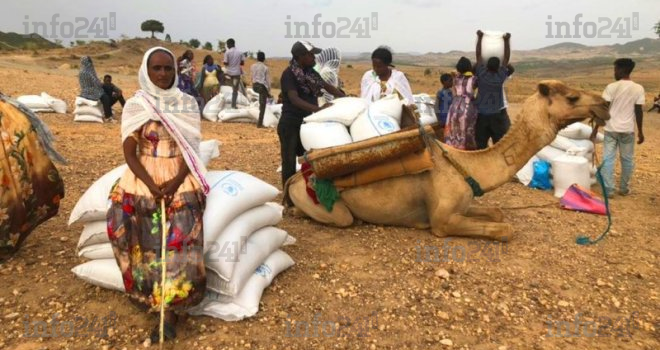 Ethiopie : Accusés d’ingérence, 7 dirigeants d’agences de l’ONU sommés de quitter le pays