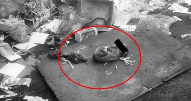 Akébé : Un nouveau-né abandonné par sa mère, retrouvé mort dans une poubelle