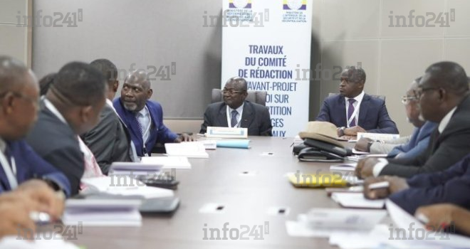 Découpage électoral et lois sur les partis au Gabon : ce que l’on sait des attendus des 2 comités