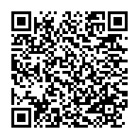 qrcode:https://info241.com/guinee-la-france-l-union-africaine-la-cedeao-les-nations-unies,990