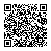 qrcode:https://info241.com/presidentielle-2025-chaning-zenaba-gnigna-defie-la-cnocer-et,2330